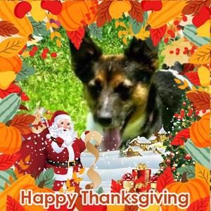 Meet your Posher, Sylvia